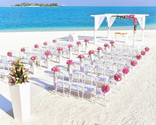 pexels-asadphoto-169197_orig